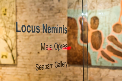 'Locus Neminis' exhibition @ Kube Musette, 2017